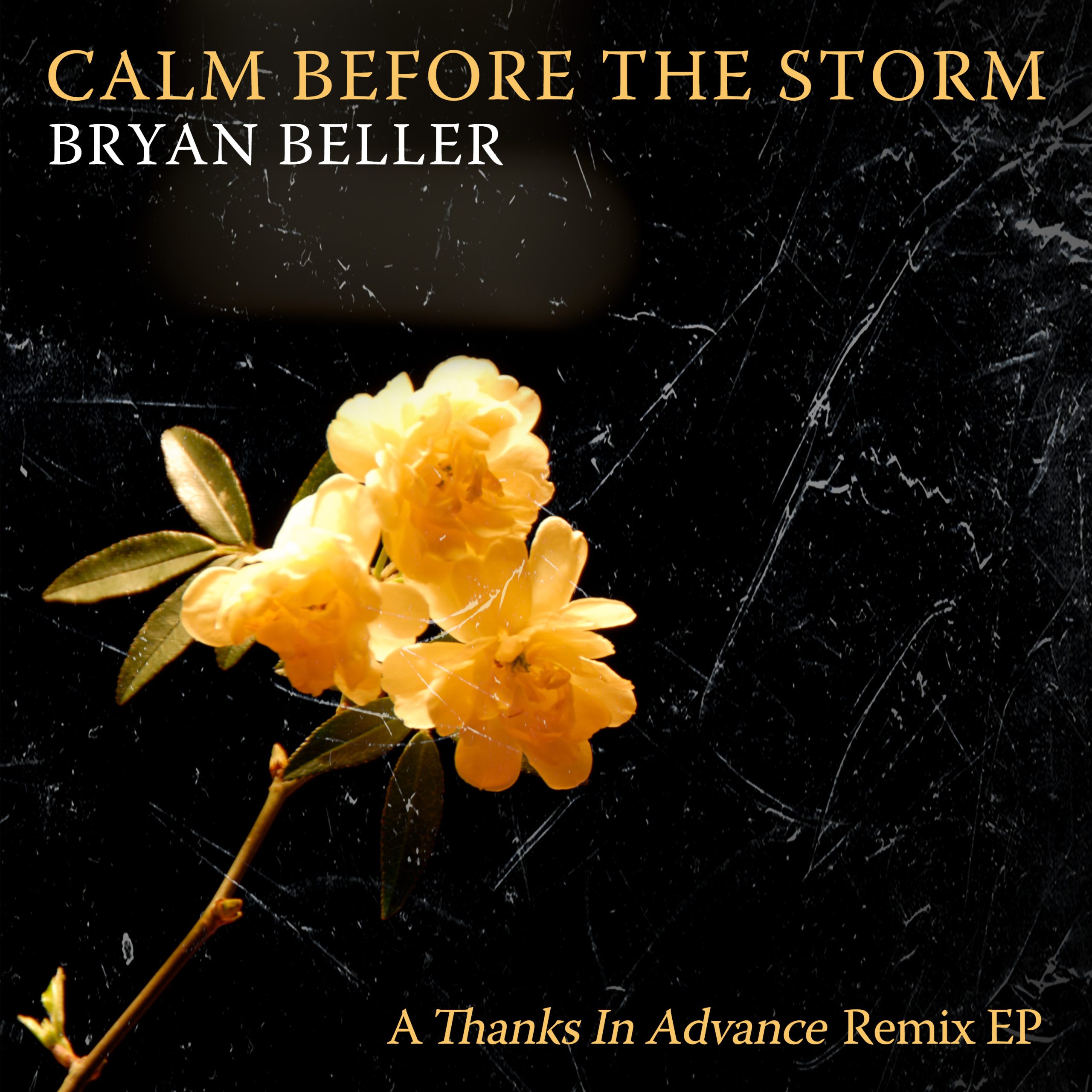 Calm Before The Storm - Cover Final